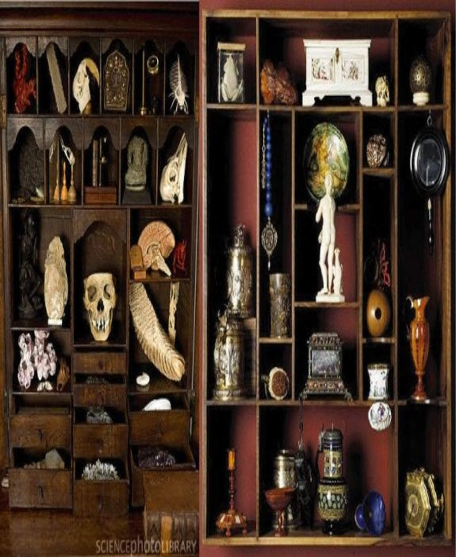 洋書 Cabinets of Curiosities Cabinets of Curiosities: Mauriès, Patrick: 9780500022887